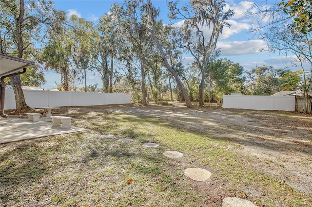 view of yard with a patio area