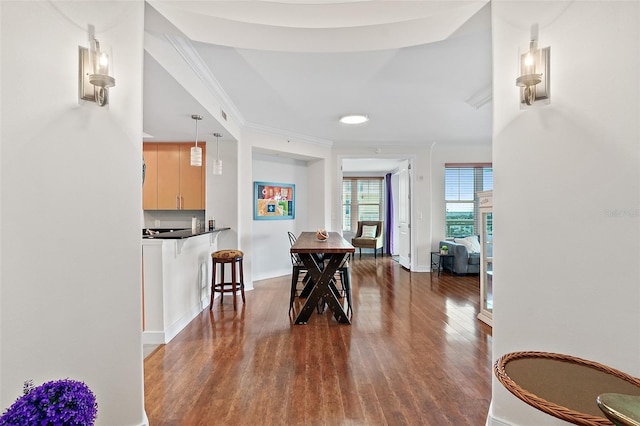 dining area with crown molding and dark hardwood / wood-style floors