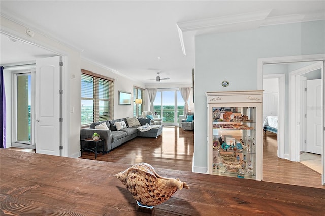 living room featuring ceiling fan, crown molding, and hardwood / wood-style floors