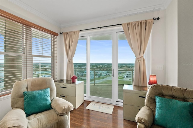 sitting room featuring dark hardwood / wood-style floors and ornamental molding