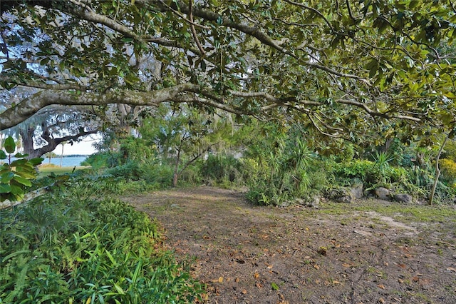 view of landscape with a water view