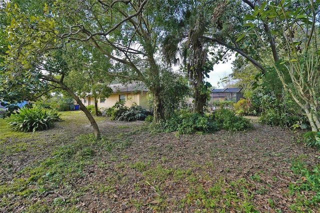 view of yard with a lanai