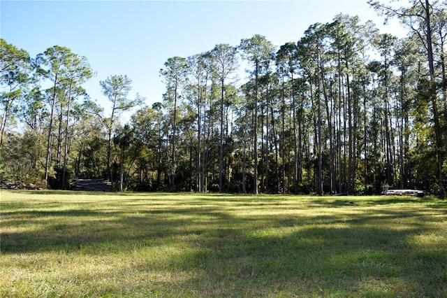 Listing photo 3 for 1289 Tall Pines Dr, Osteen FL 32764