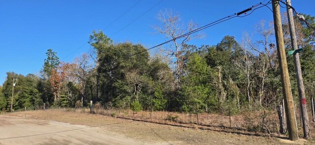 7195 Gas Line Rd, Keystone Heights, FL 32656 - photo 1