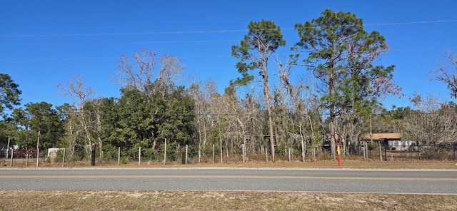 7195 Gas Line Rd, Keystone Heights, FL 32656 - photo 6