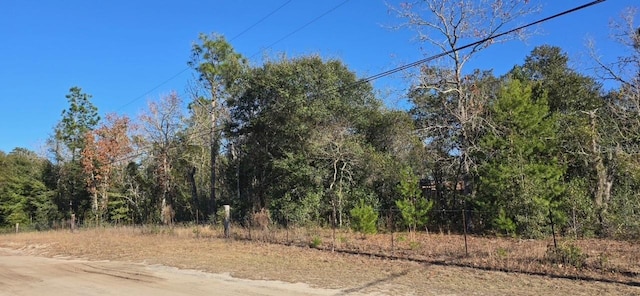 7195 Gas Line Rd, Keystone Heights, FL 32656 - photo 11