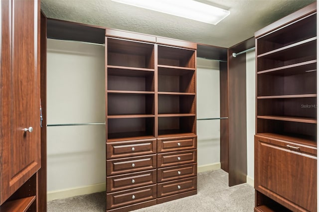 spacious closet featuring light colored carpet