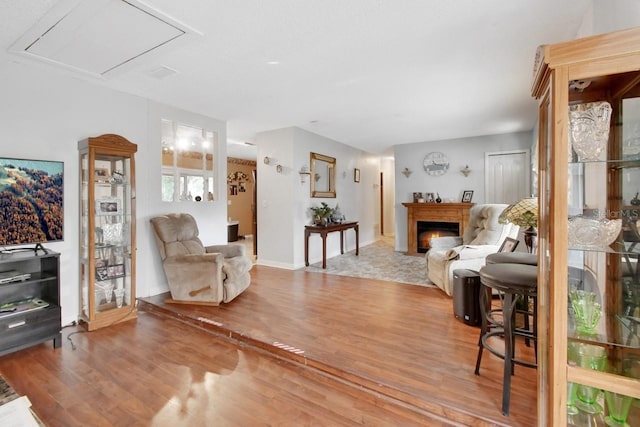 living room featuring hardwood / wood-style flooring