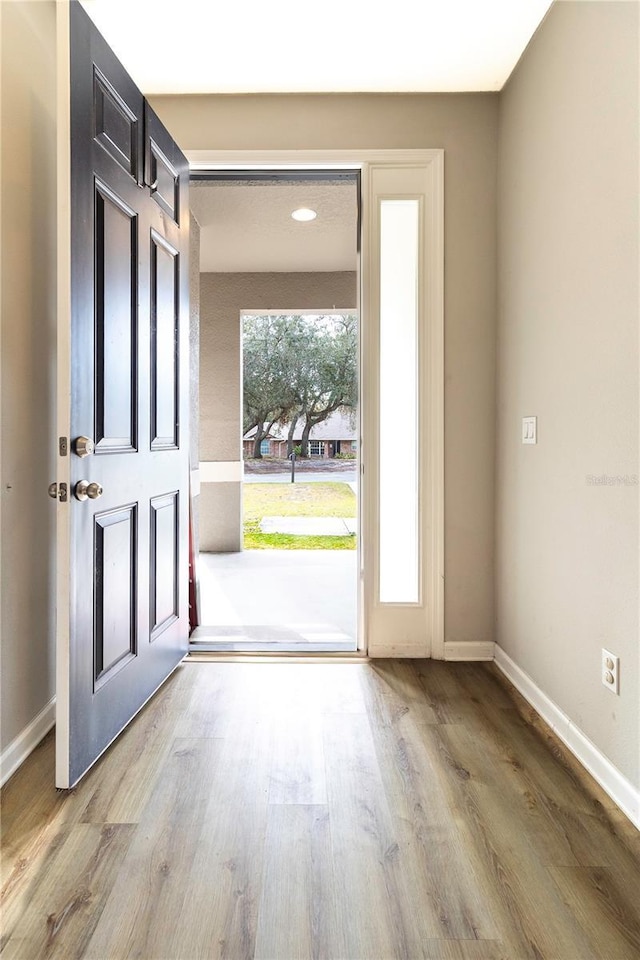 entrance foyer featuring hardwood / wood-style flooring