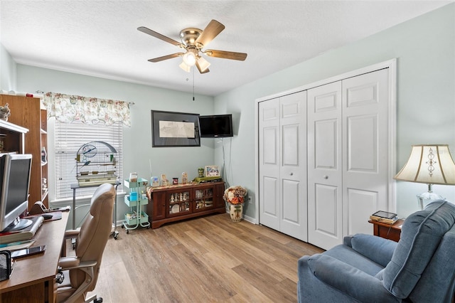 office area with ceiling fan, a textured ceiling, and light hardwood / wood-style flooring