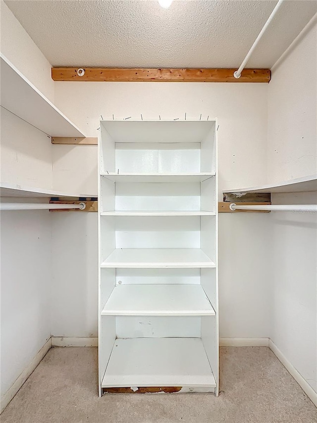 walk in closet with light colored carpet