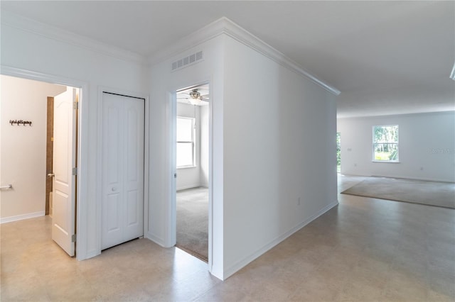 hall featuring ornamental molding and a wealth of natural light