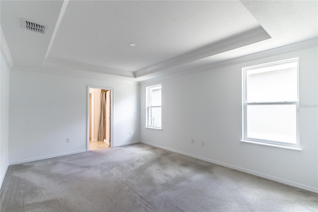 empty room featuring crown molding, light carpet, and a tray ceiling