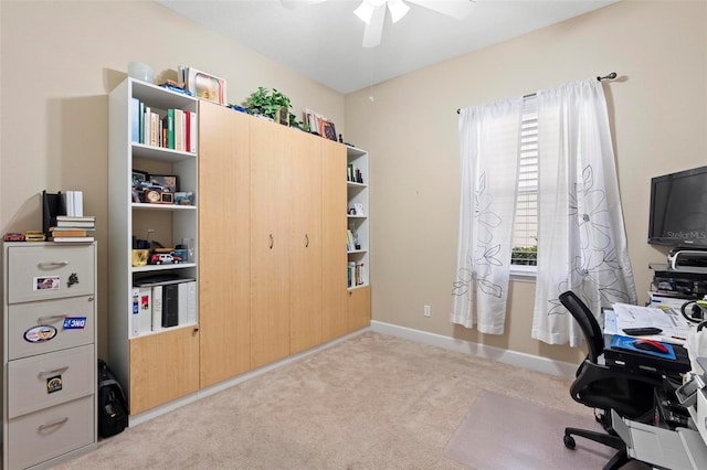 carpeted office featuring ceiling fan