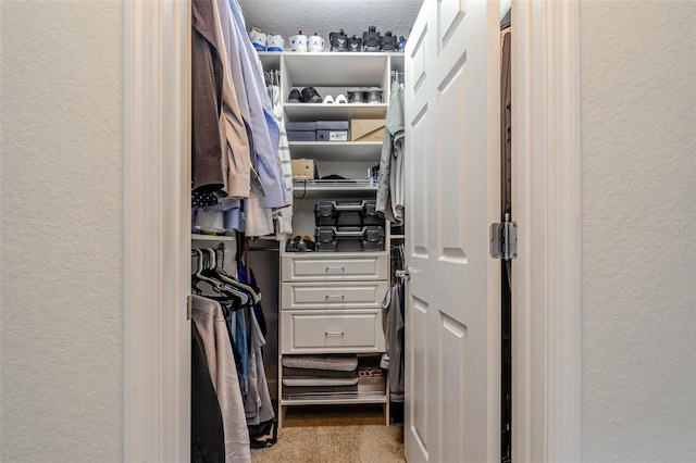 spacious closet featuring carpet floors