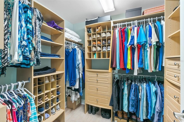 view of walk in closet