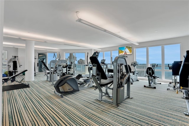 exercise room with carpet floors