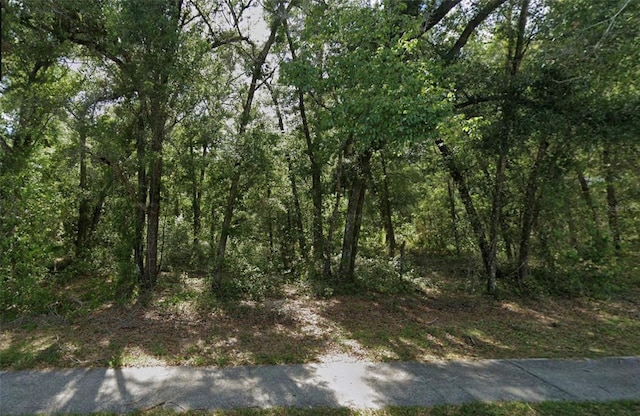 Church St, Lake Helen FL, 32744 land for sale