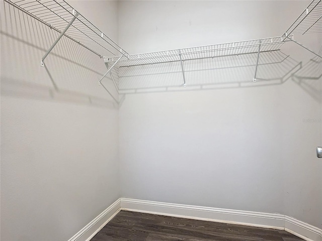 walk in closet featuring dark wood-type flooring