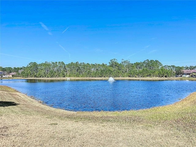 view of water feature