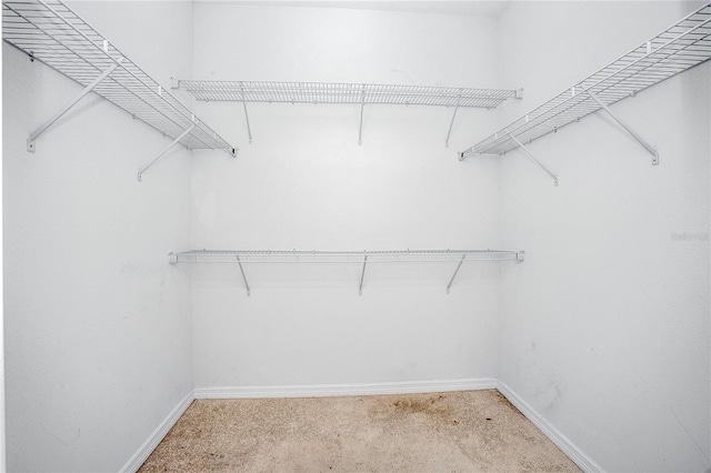 spacious closet with carpet flooring