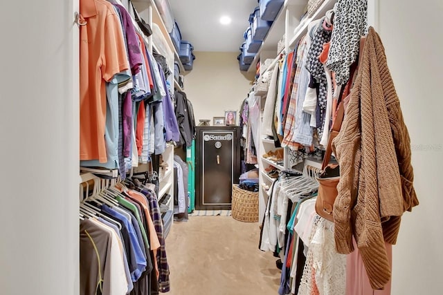 view of spacious closet