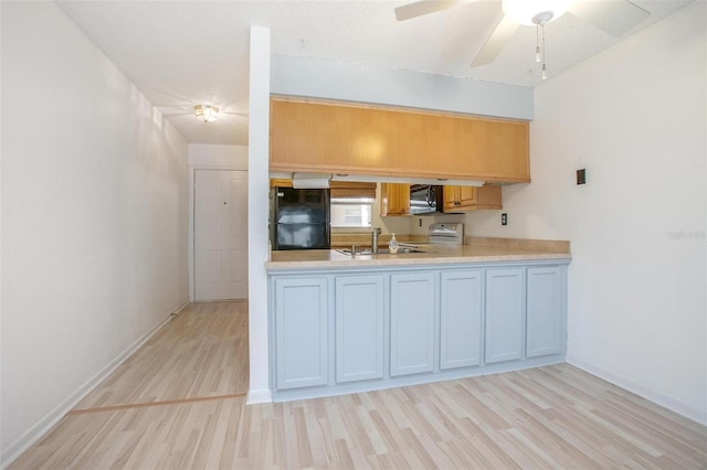 kitchen featuring sink, a textured ceiling, ceiling fan, light hardwood / wood-style floors, and black appliances