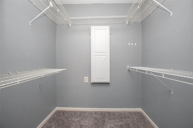 spacious closet with carpet floors