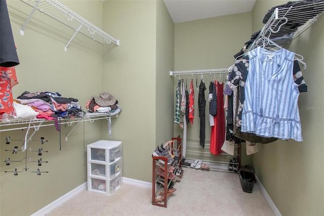 spacious closet featuring carpet flooring