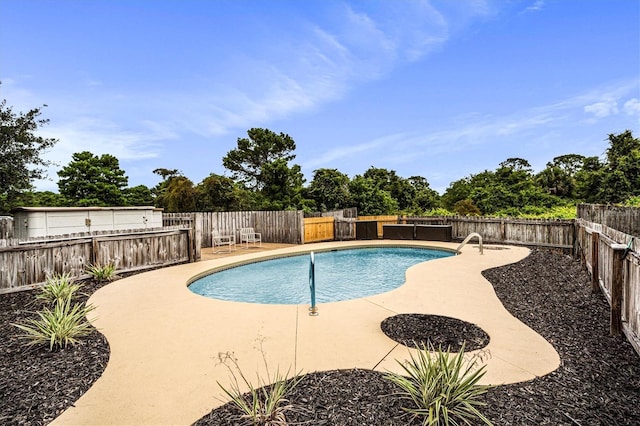 view of pool featuring a patio