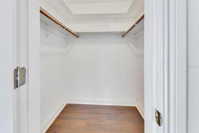 spacious closet with dark wood-type flooring