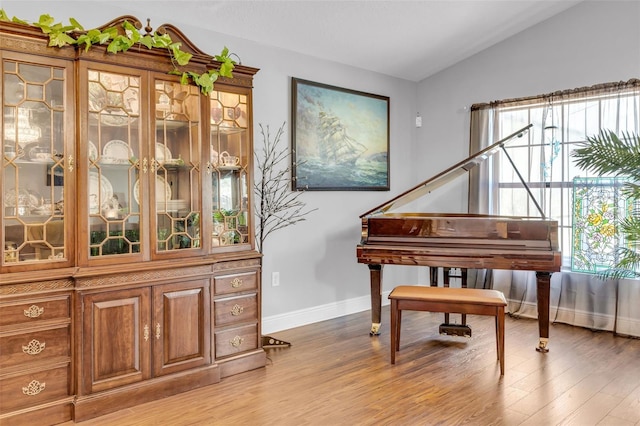 miscellaneous room with vaulted ceiling and light hardwood / wood-style flooring