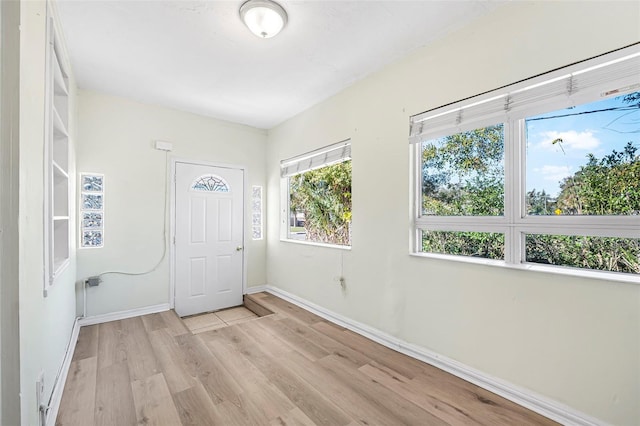 entryway featuring light wood-type flooring and a wealth of natural light