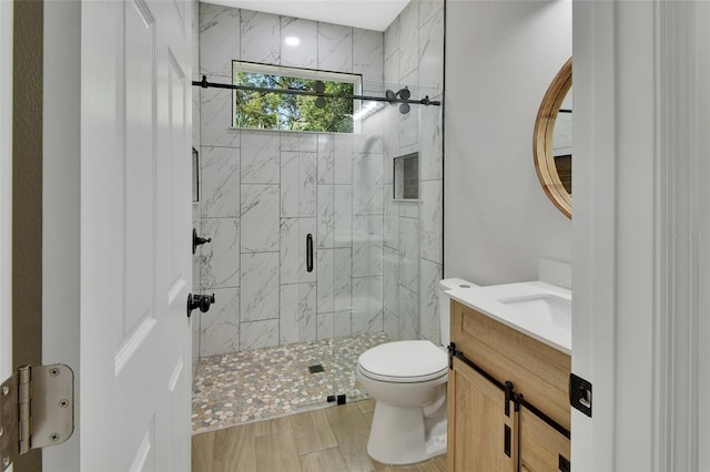 bathroom with vanity, walk in shower, and toilet