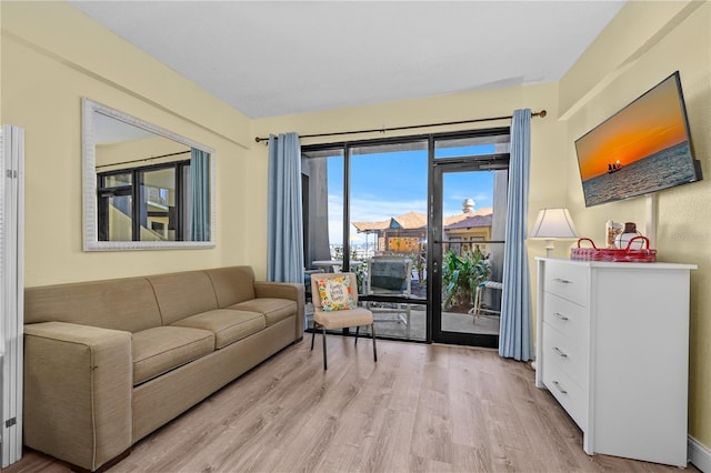 living room with light wood-style flooring