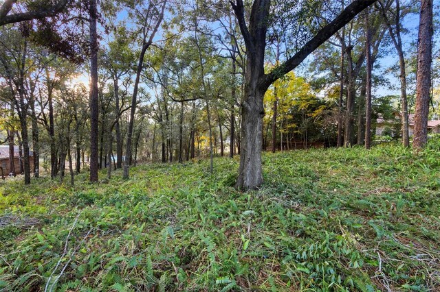 1482 Covered Bridge Dr, Deland, FL 32724 - photo 4