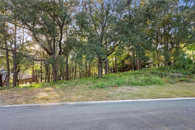 1482 Covered Bridge Dr, Deland, FL 32724 - photo 5
