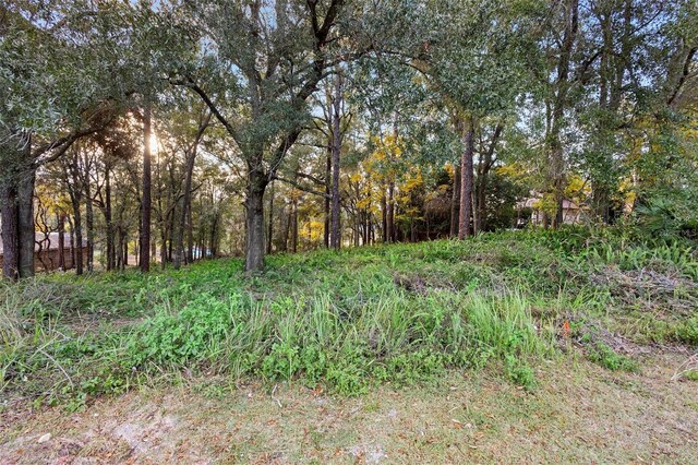1482 Covered Bridge Dr, Deland, FL 32724 - photo 8