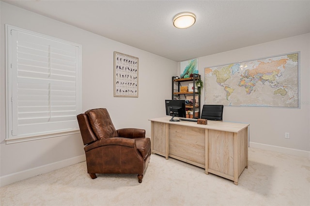 office area with light carpet