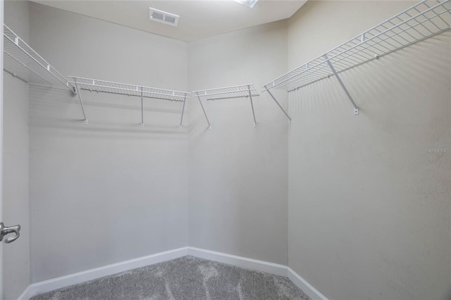 spacious closet with carpet