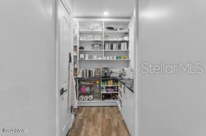 801 N Flagler Ave, Flagler Beach, FL 32136 - view of pantry