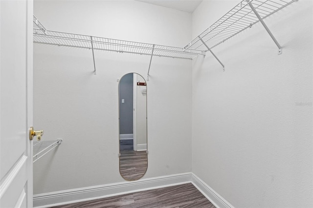 walk in closet featuring hardwood / wood-style floors