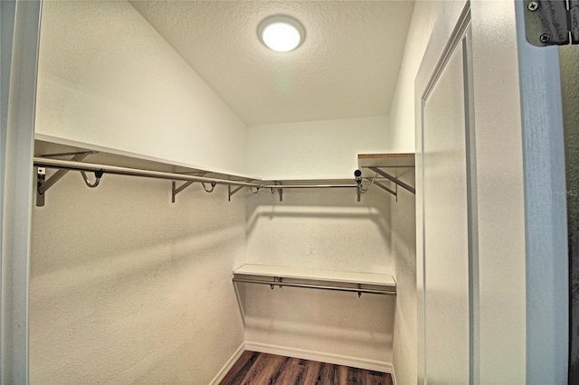 spacious closet featuring dark wood-type flooring