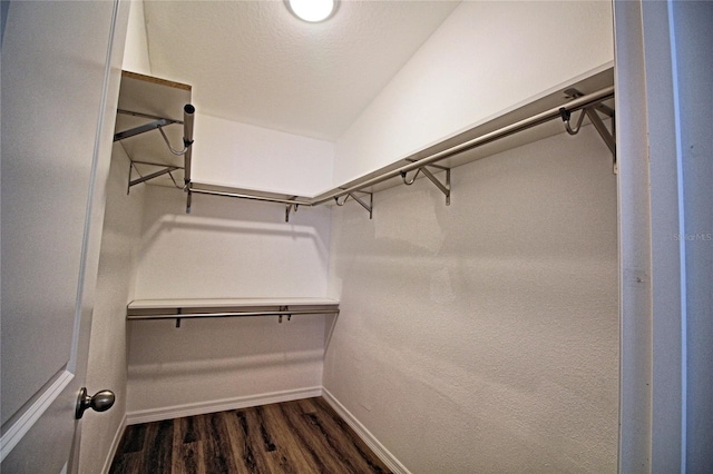 walk in closet featuring dark hardwood / wood-style floors