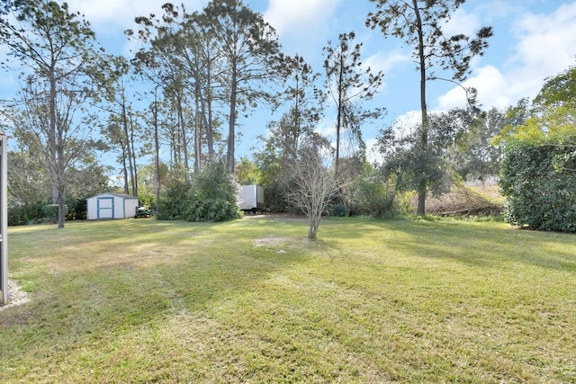 view of yard featuring a storage unit