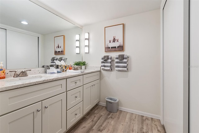 bathroom with wood-type flooring and vanity