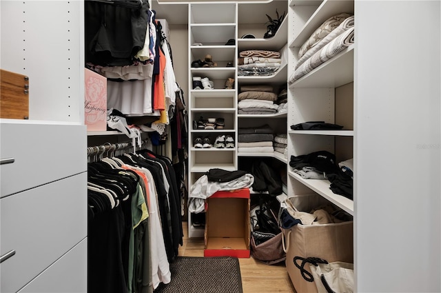 spacious closet with light wood-type flooring