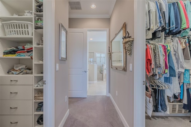 walk in closet with light colored carpet