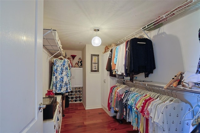 spacious closet with hardwood / wood-style flooring