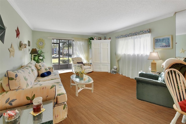 600 N Boundary Ave Unit 114B, Deland, FL 32720 - living room with healthy amount of natural light, a textured ceiling, ornamental molding, and light wood-style flooring